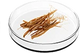 Estratto di radice di Panax Ginseng